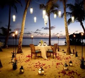 Customized Honeymoon Tours