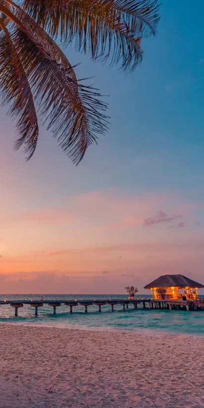 Top Travel Agency in India | Vacation Packages and Trip Planner - Hammock Holidays